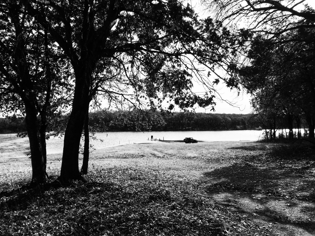 Black and White Landscape